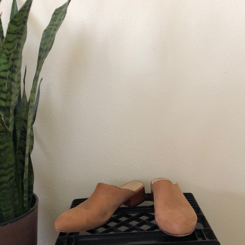 Nisolo Mules